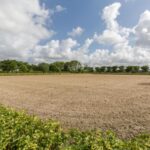 20171026191945055546000000-o